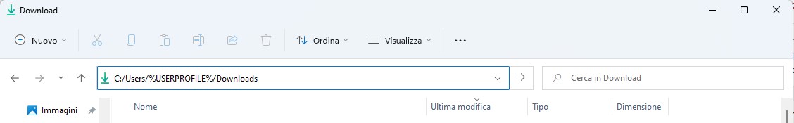 Guida installazione TeamViewer per Windows 